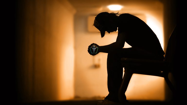 Stress, Burnout und Erschöpfungssyndrom – Begreifen und erfolgreich regulieren